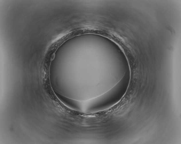 X0000113141303200909041200