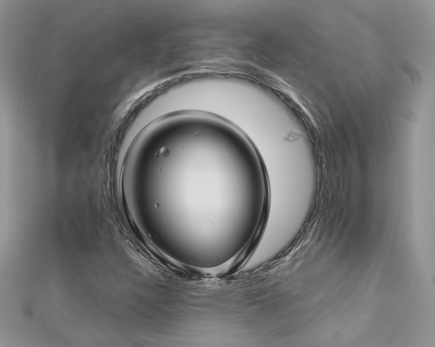 X0000113141304200909041200