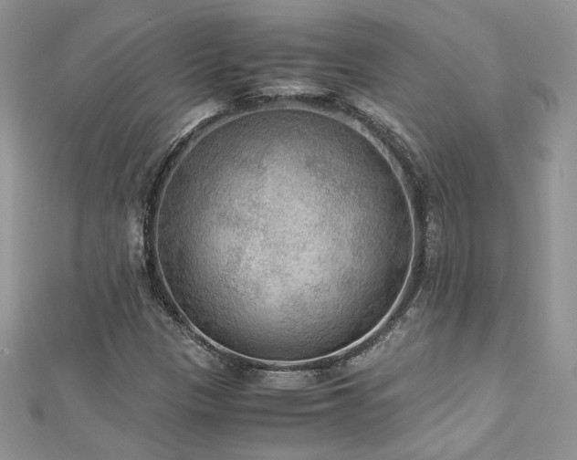 X0000113141305200909041200