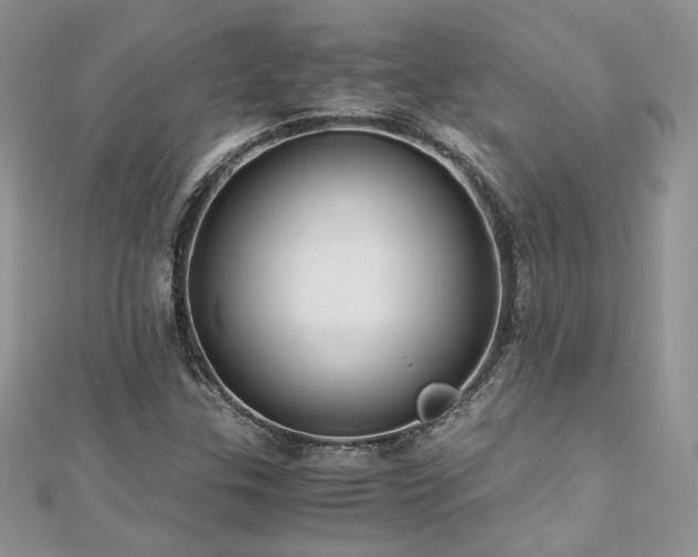 X0000113141307200909041200