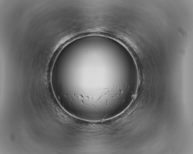 X0000113141308200909041200
