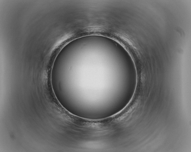 X0000113141309200909041200