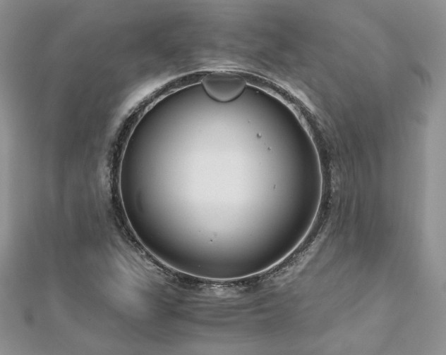 X0000113141311200909041200