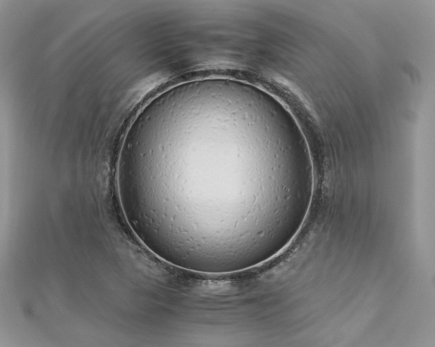 X0000113141313200909041200