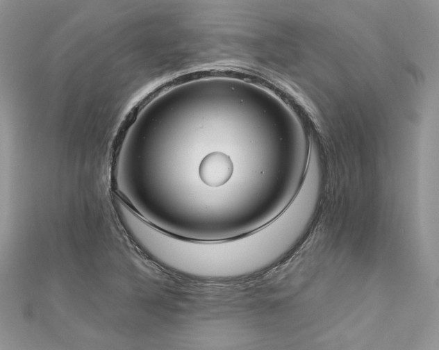 X0000113141316200909041200