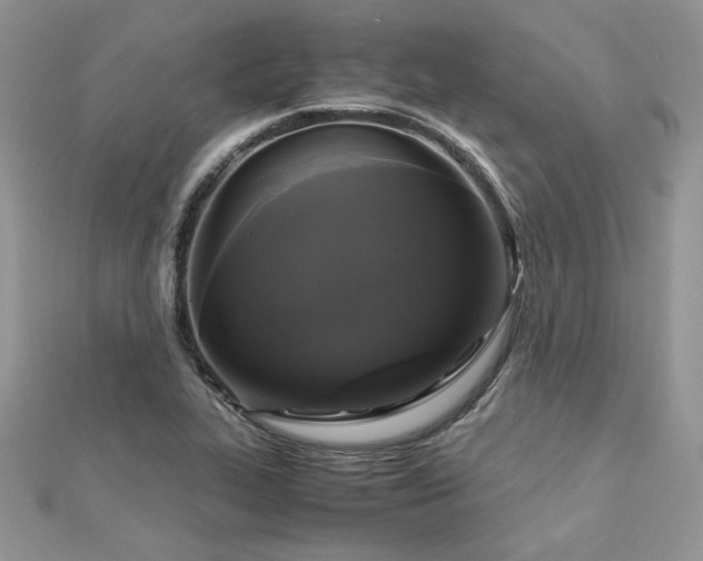 X0000113141319200909041200