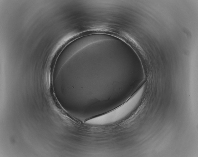 X0000113141323200909041200