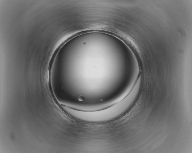 X0000113141324200909041200