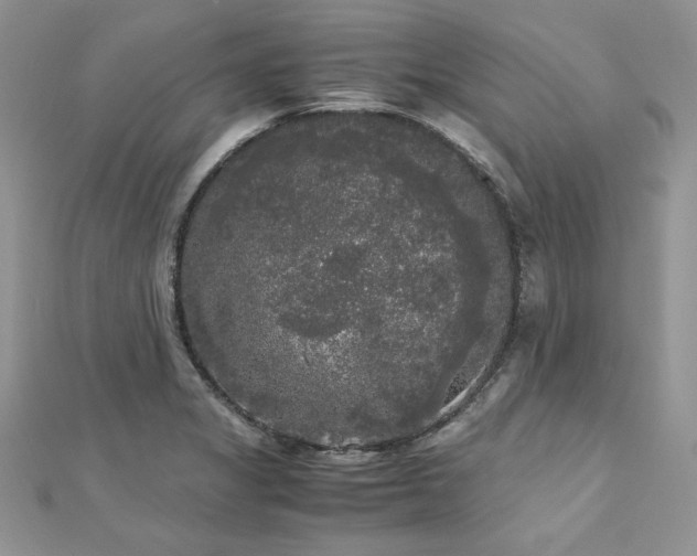 X0000113141325200909041200
