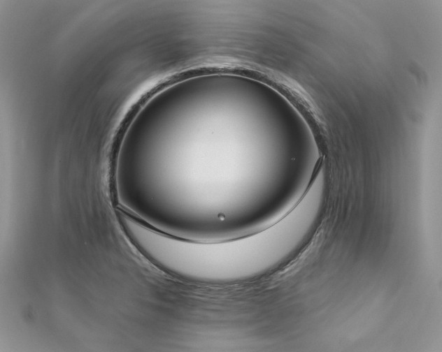 X0000113141326200909041200