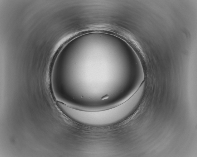 X0000113141328200909041200