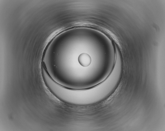 X0000113141330200909041200