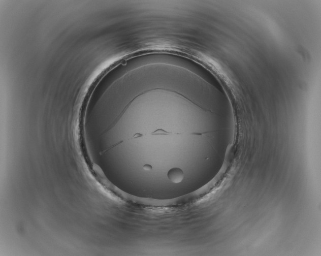 X0000113141331200909041200