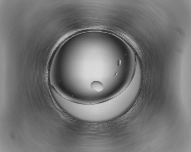 X0000113141332200909041200