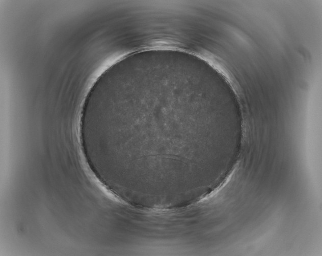 X0000113141333200909041200