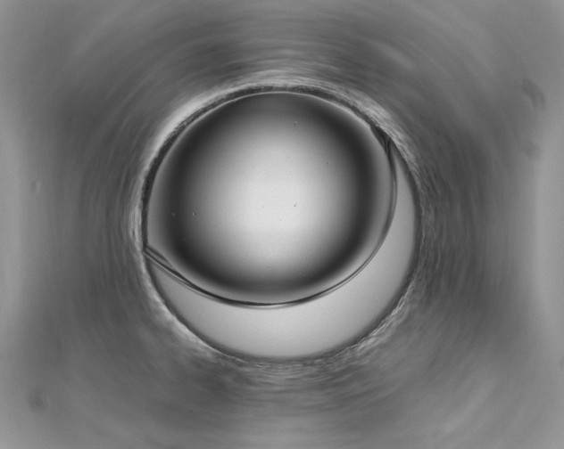X0000113141334200909041200