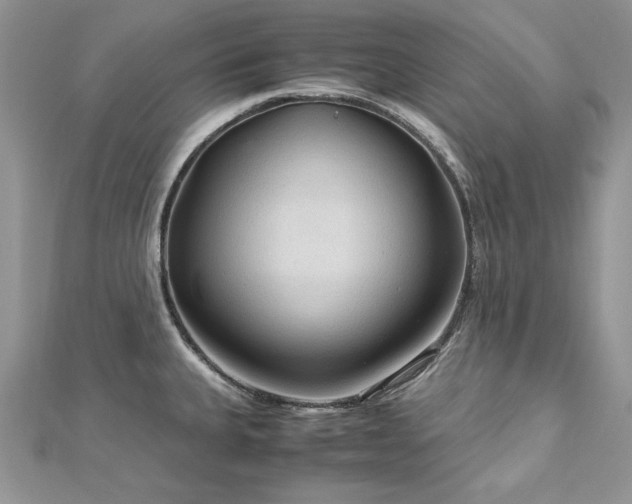 X0000113141335200909041200