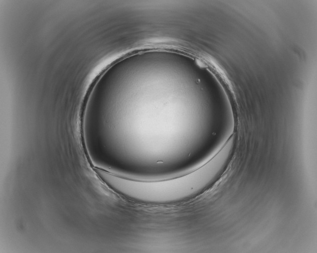 X0000113141336200909041200