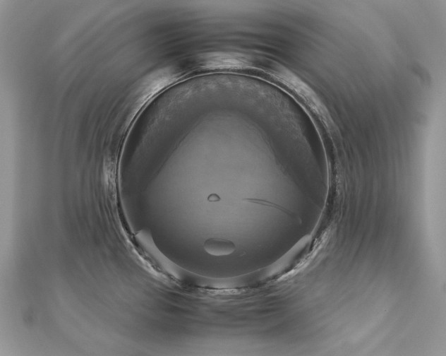 X0000113141337200909041200