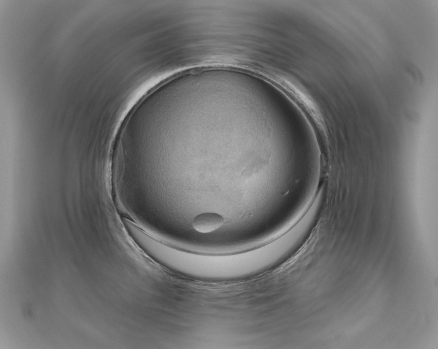 X0000113141340200909041200