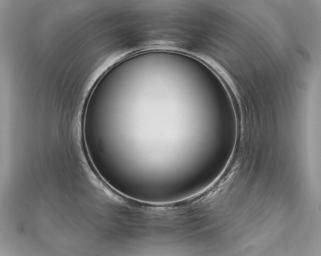 X0000113141341200909041200