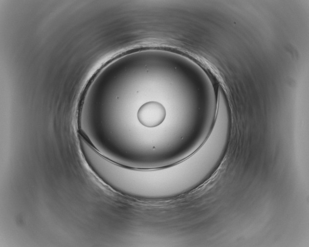 X0000113141342200909041200