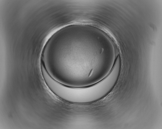 X0000113141344200909041200