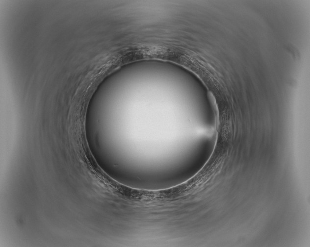 X0000113141345200909041200