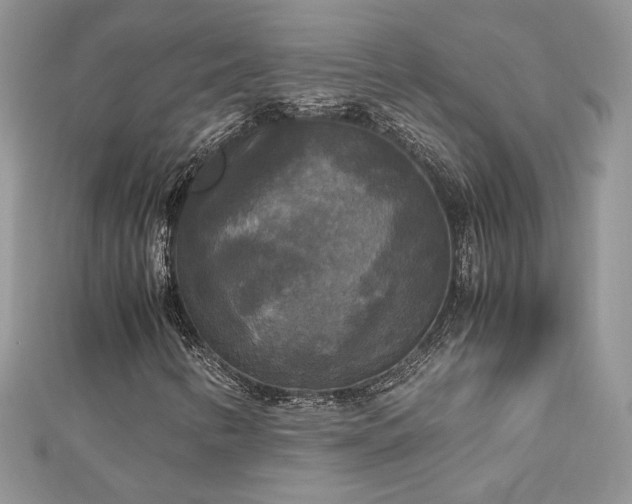 X0000113141346200909041200