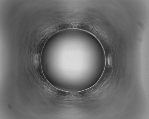 X0000113141347200909041200