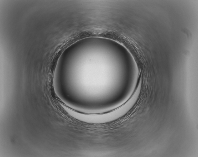 X0000113141349200909041200