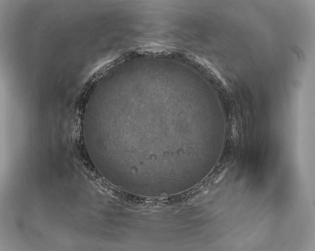 X0000113141350200909041159