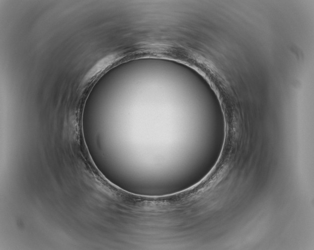 X0000113141354200909041159