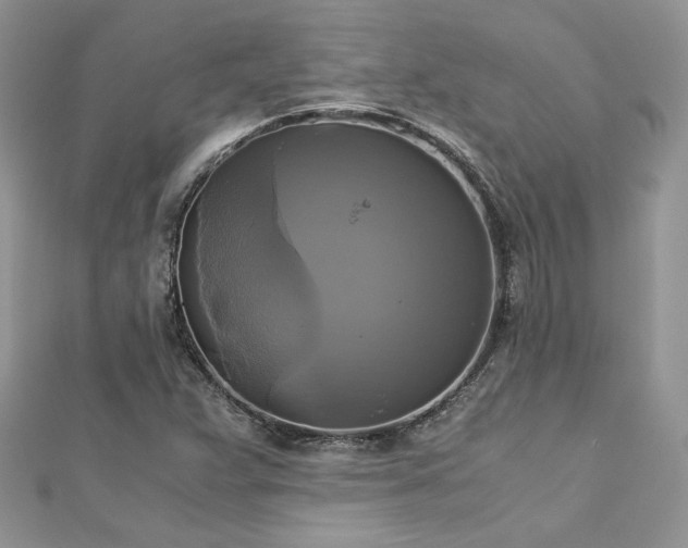 X0000113141359200909041159