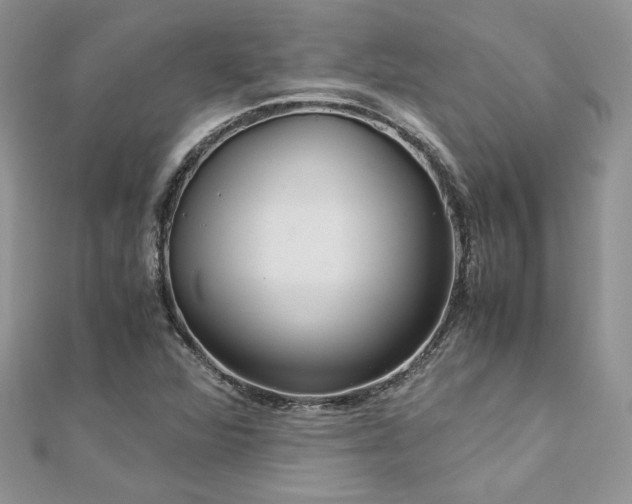 X0000113141360200909041159