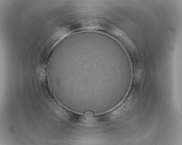 X0000113141361200909041159