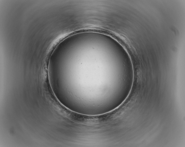 X0000113141363200909041159