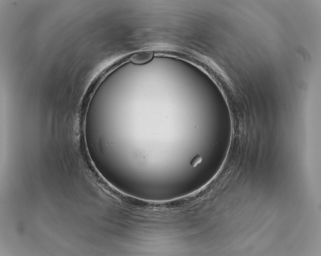 X0000113141364200909041159