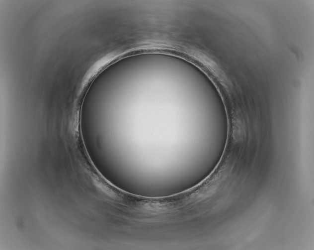 X0000113141366200909041159