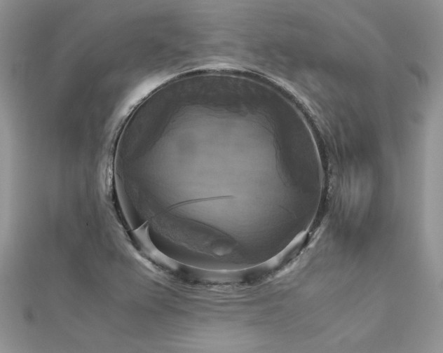 X0000113141367200909041159