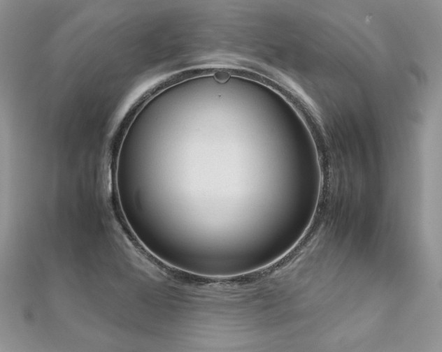 X0000113141368200909041159