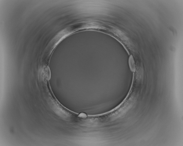 X0000113141369200909041159