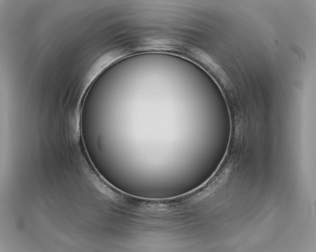 X0000113141370200909041159