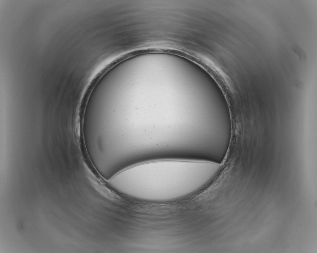X0000113141372200909041159