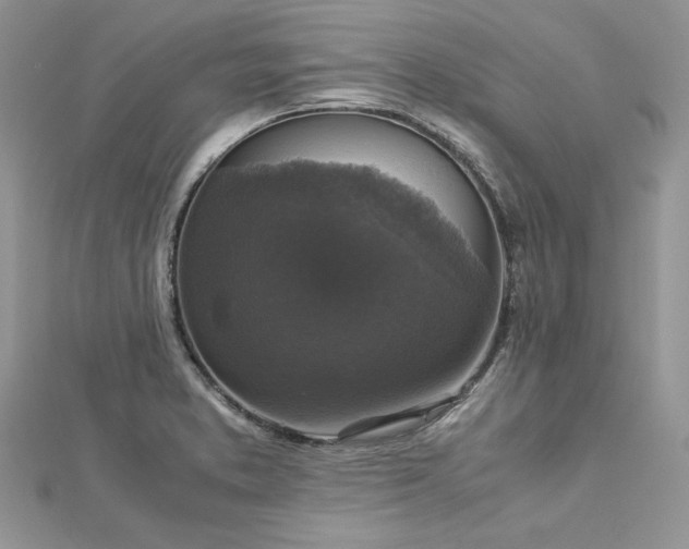 X0000113141373200909041159