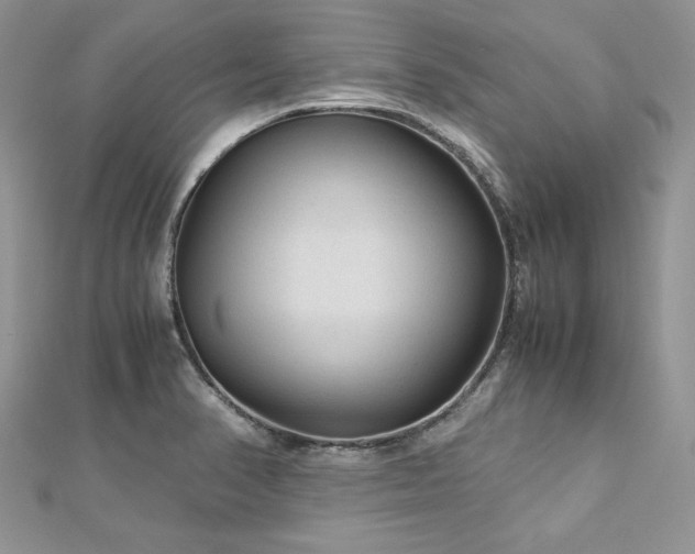 X0000113141374200909041159