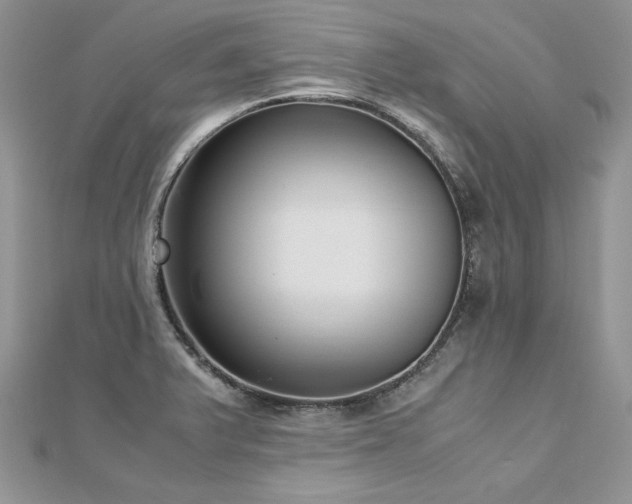 X0000113141375200909041159