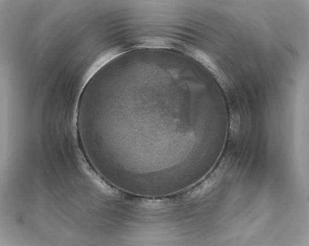 X0000113141378200909041159