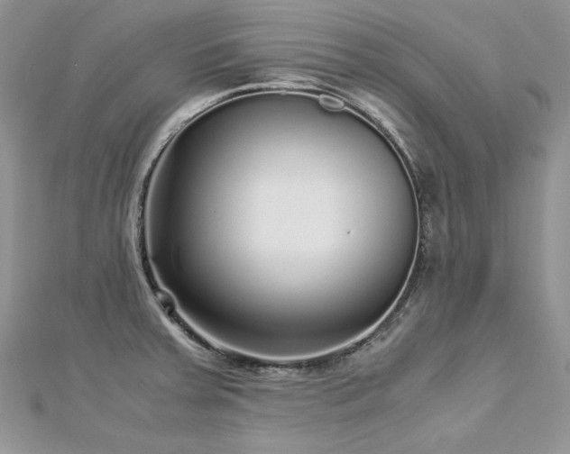 X0000113141379200909041159