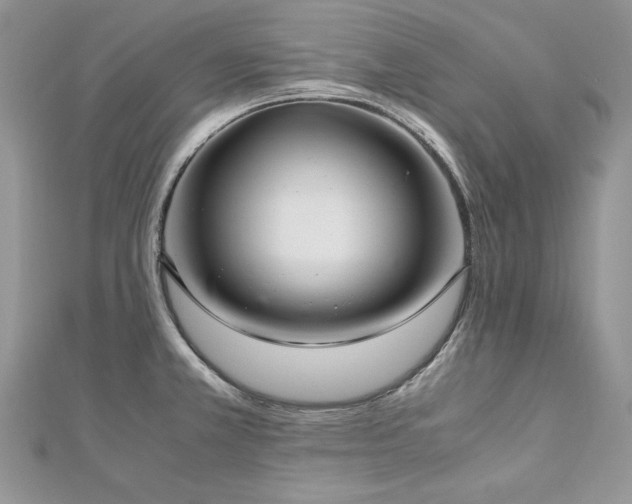 X0000113141381200909041159